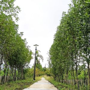 pahara linear park